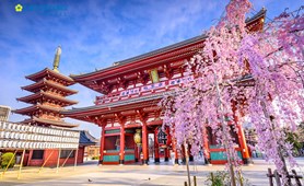 Tour du lịch Nagoya - Osaka - Nara - Kyoto - Núi Phú Sỹ - Tokyo 6 ngày 5 đêm