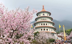 Tour Đài Loan - Hoa Anh đào: Cao Hùng - Đài Trung - Nam Đầu - Đài Bắc