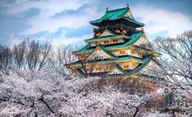 Tour Nhật Bản - Hoa anh đào: Osaka - Nagoya - Kyoto – Núi Phú Sĩ - Tokyo
